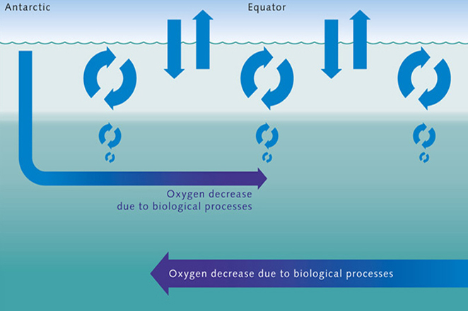 Ocean Oxygen levels are dropping while Carbon dioxide levels are increasing