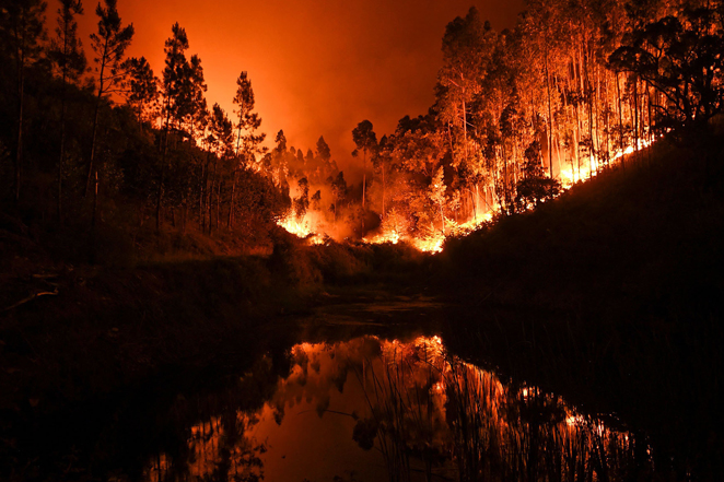 Portugal wildfires