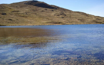 Greenland lakes turn brown and emit CO2 after 2022 heatwave