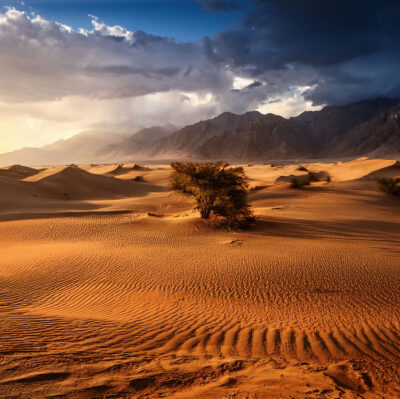 Heatwave South Asia 2025