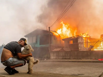 Chilean wildfire disaster 2026