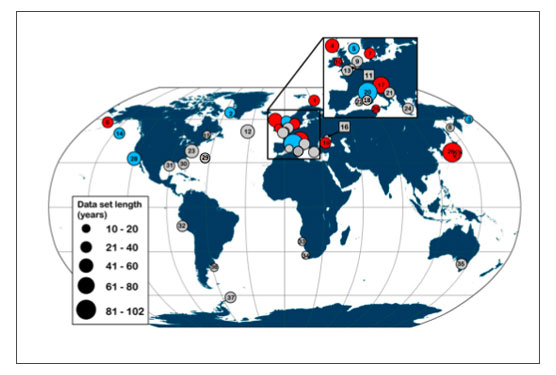 Jellyfish blooms moving north