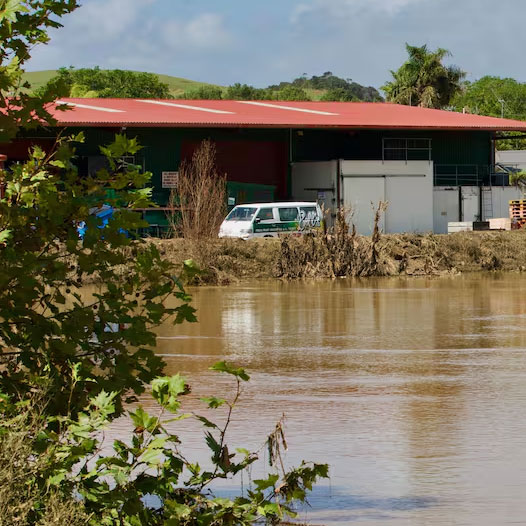 New Zealand floods