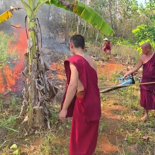 Thailand wildfires kill dozens