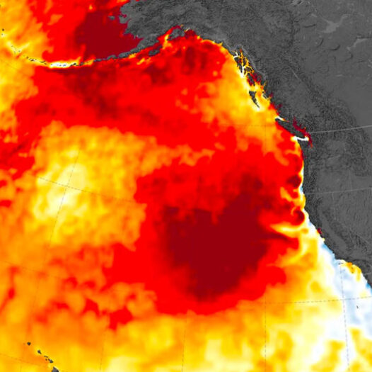 Record marine heatwave April 2026 in Pacific Ocean is a harbinger of bad things to come soon