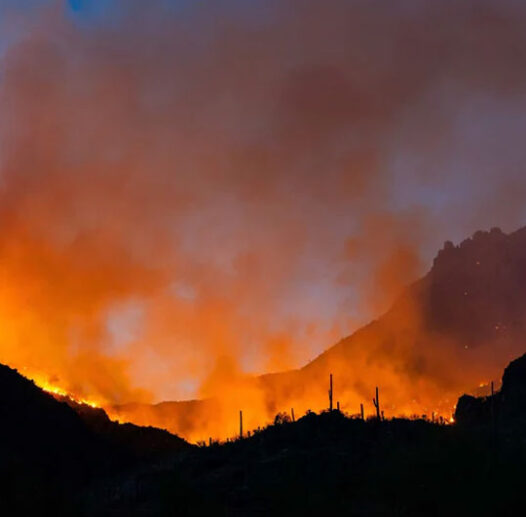 Wildfires are changing in Wales