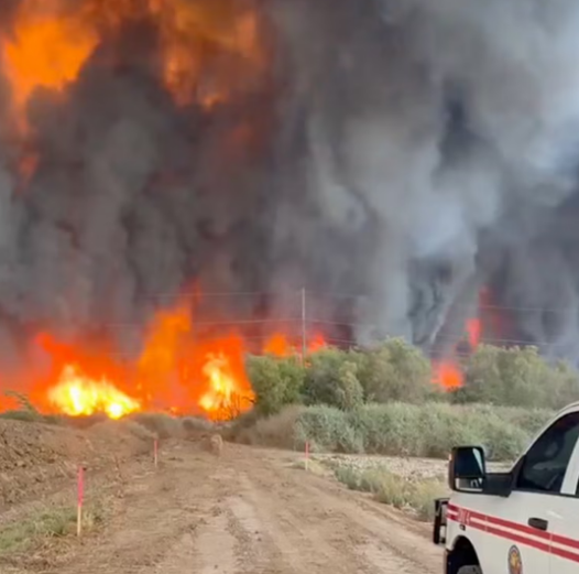 Arizona wildfires