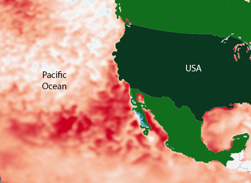 Marine heatwave lurks in the pacific