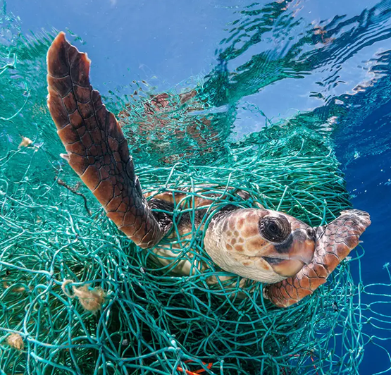 Great Pacific Garbage Patch is also heating the planet