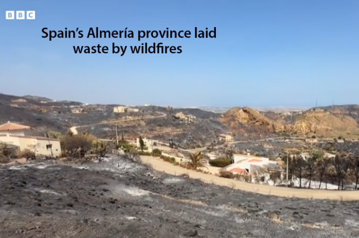 Spanish wildfires