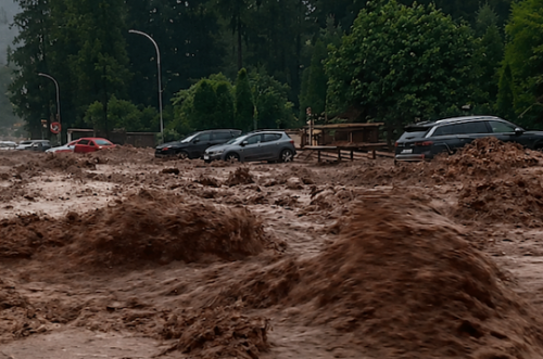 Flash Floods in Romania Sweep Away Cars
