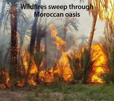 Moroccan wildfires amidst record temperatures