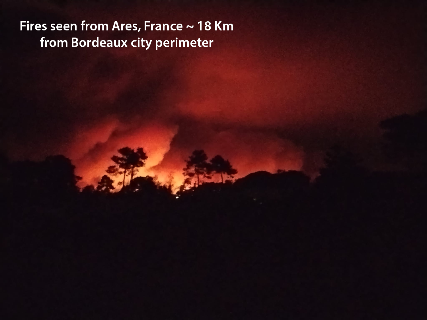 Bordeaux Wildfires