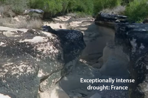 Intense drought in France threatens agriculture