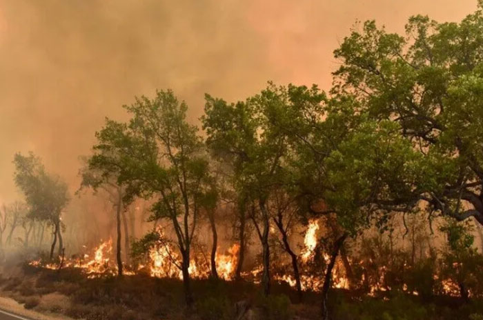 Morocco wildfires red alert 