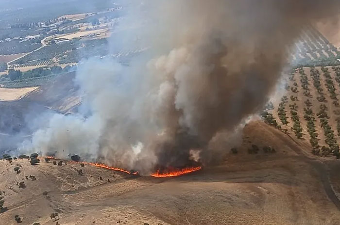 Wildfires in Andalusia