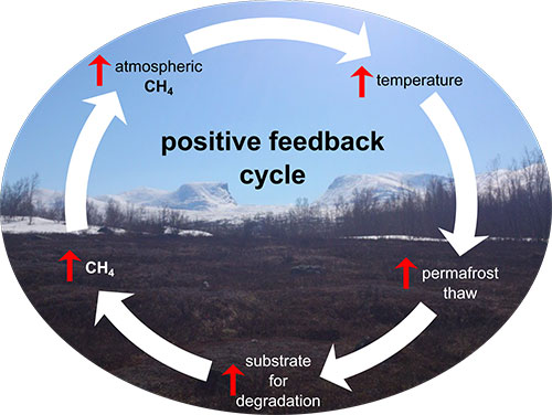 Methane permafrost feedback loop