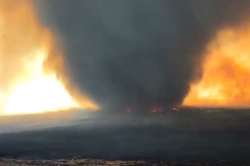Firenado Oregon