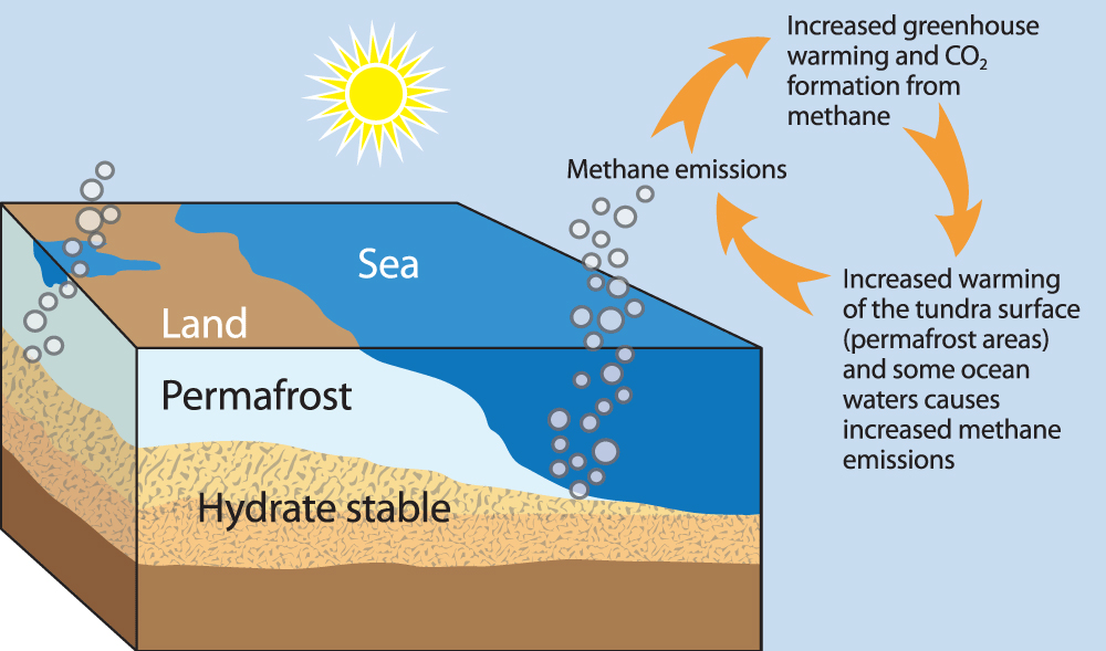 Methane feedback