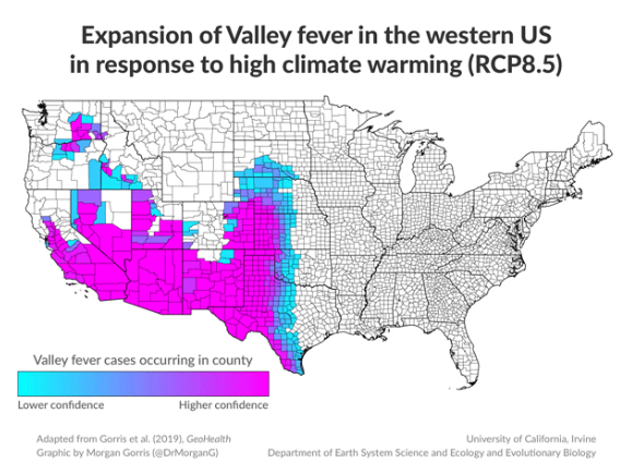 Valley Fungal Fever