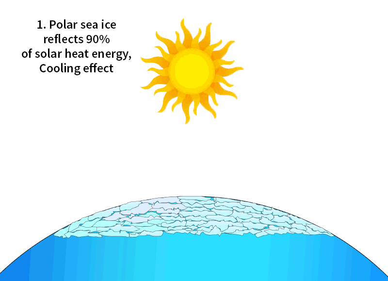 Albedo Feedback sea ice