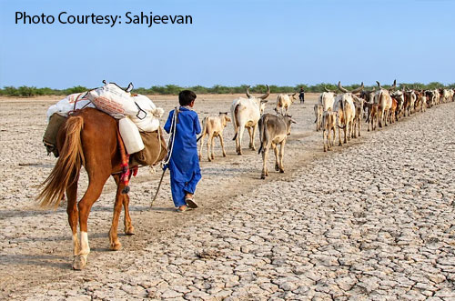 Drought in India drives migrations